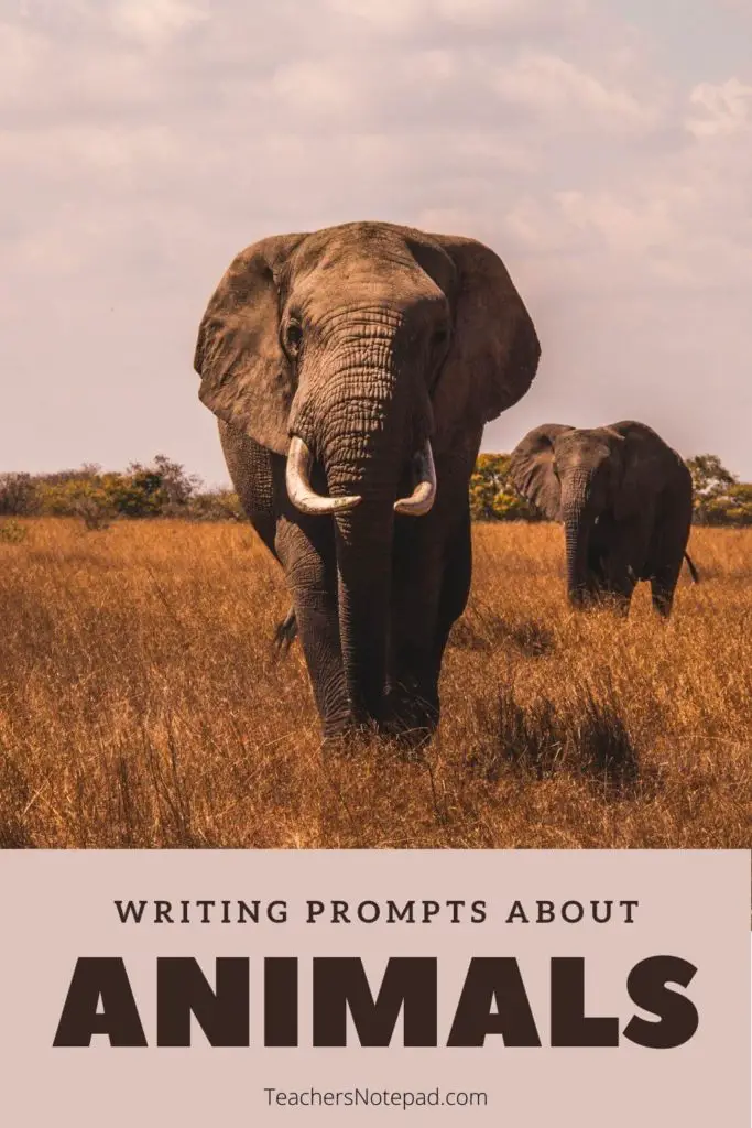 creative writing topics animals