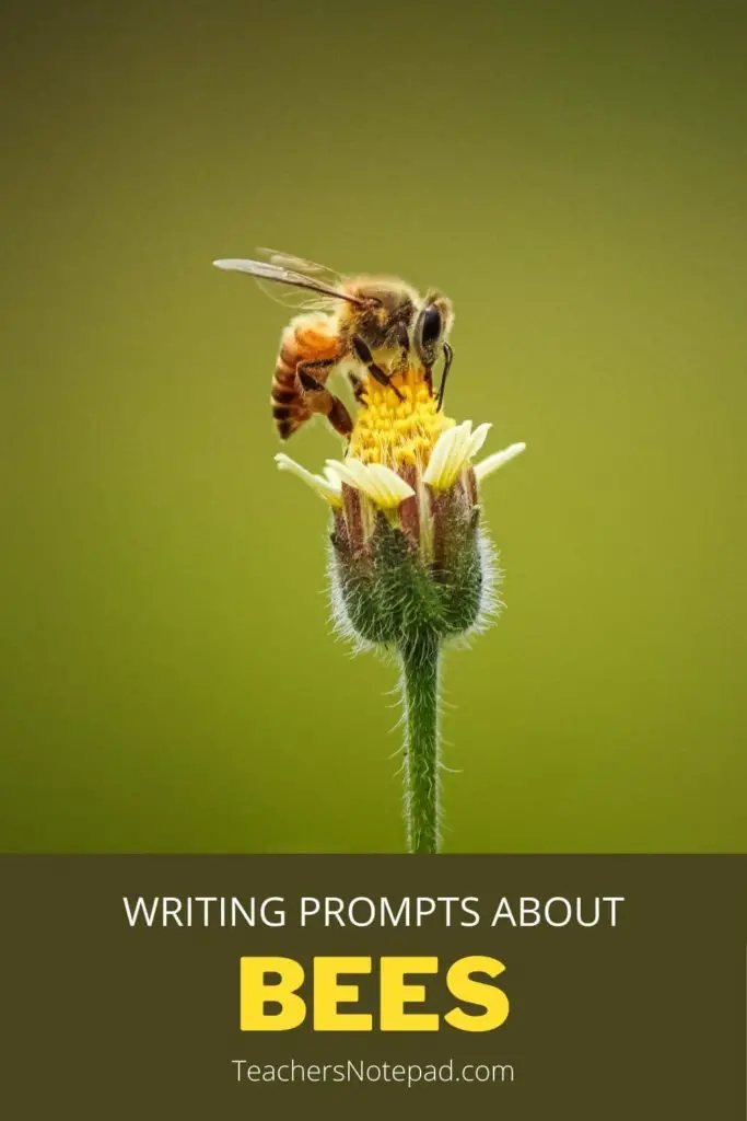 write short essay about honey bee