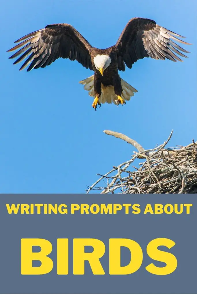 creative writing in birds