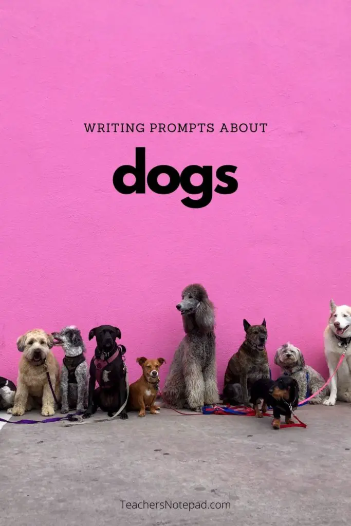 creative writing on dogs