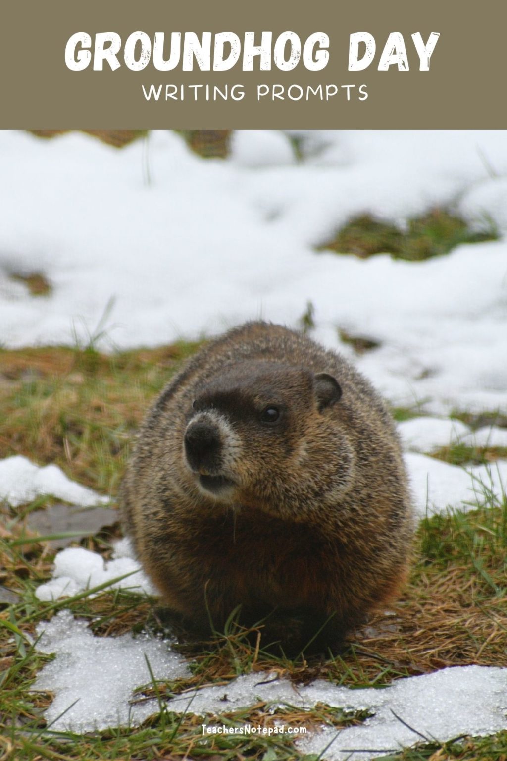 33 Groundhog Day Writing Prompts – Teacher's Notepad