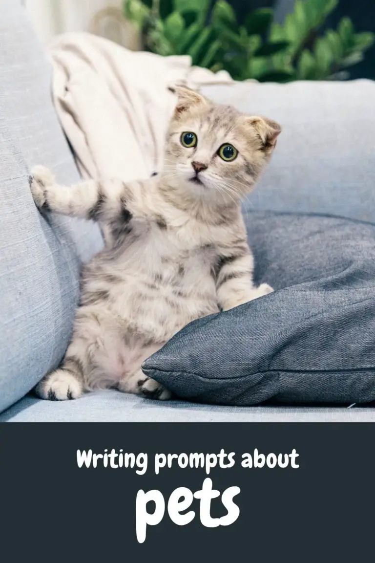 pet essay prompts