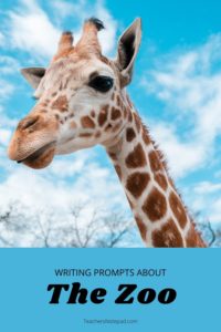 37 Writing Prompts about the Zoo – Teacher's Notepad